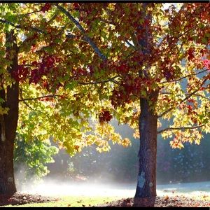 Meet your Posher, Sue